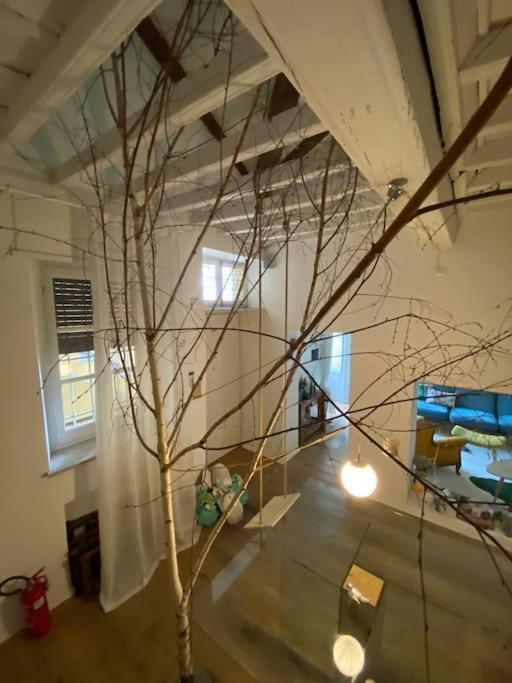 Casa Degli Alberi Apartment Торино Екстериор снимка