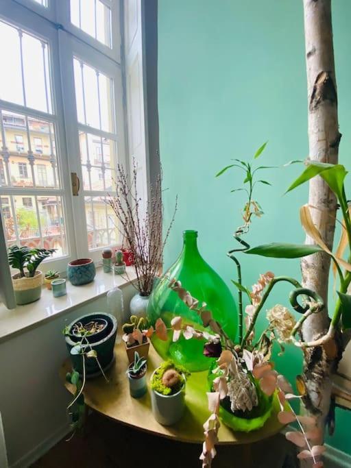 Casa Degli Alberi Apartment Торино Екстериор снимка